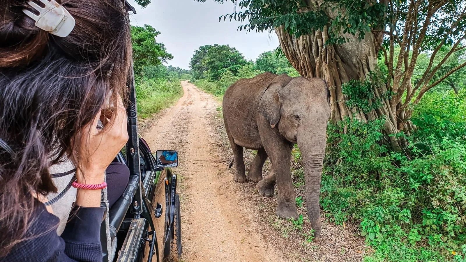 Why tourists prefer self-drive rentals in Sri Lanka