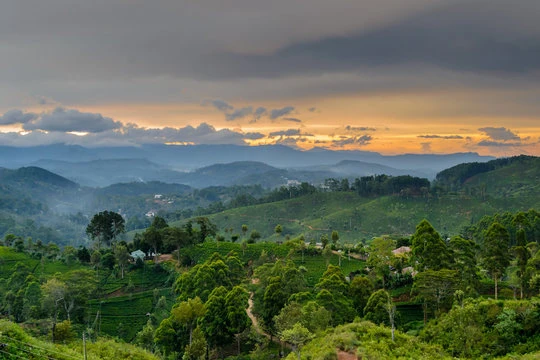Lipton's Seat viewpoint in Haputale