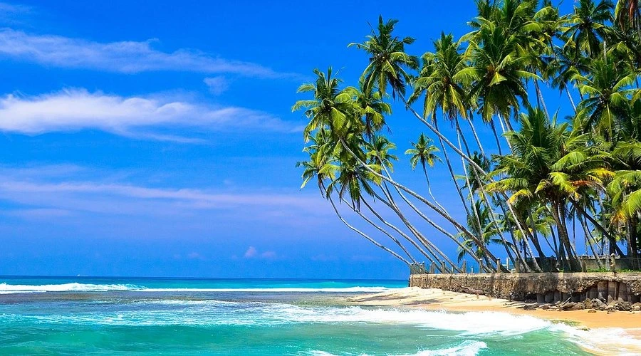 Hikkaduwa Beach and coral reefs
